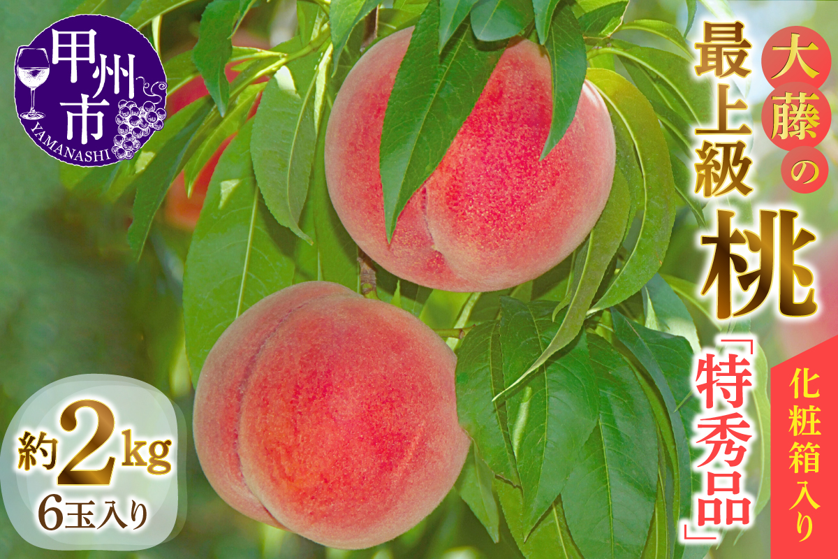 桃の一大産地『大藤の特秀品』！透過式光センサー選別化粧箱入り 約2kg【2026年発送】（MG）B12-474