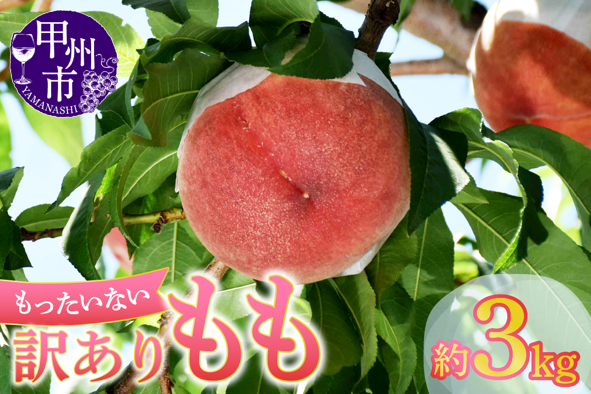 訳ありの桃《大容量》約3kg【2026年発送】（MG）A08-470