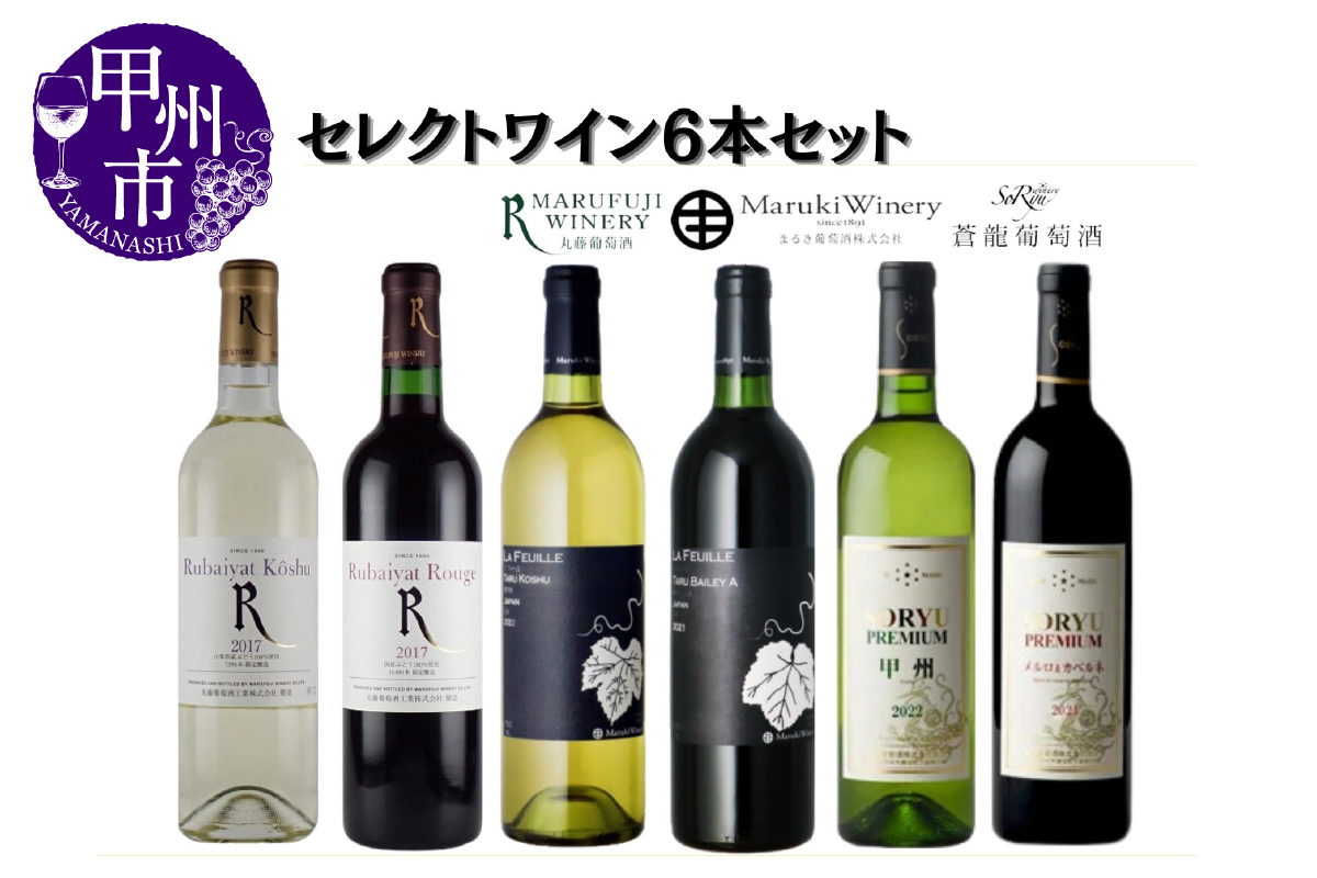まるき葡萄酒 丸藤葡萄酒 蒼龍葡萄酒 セレクトワイン6本セット（MG）E3-651