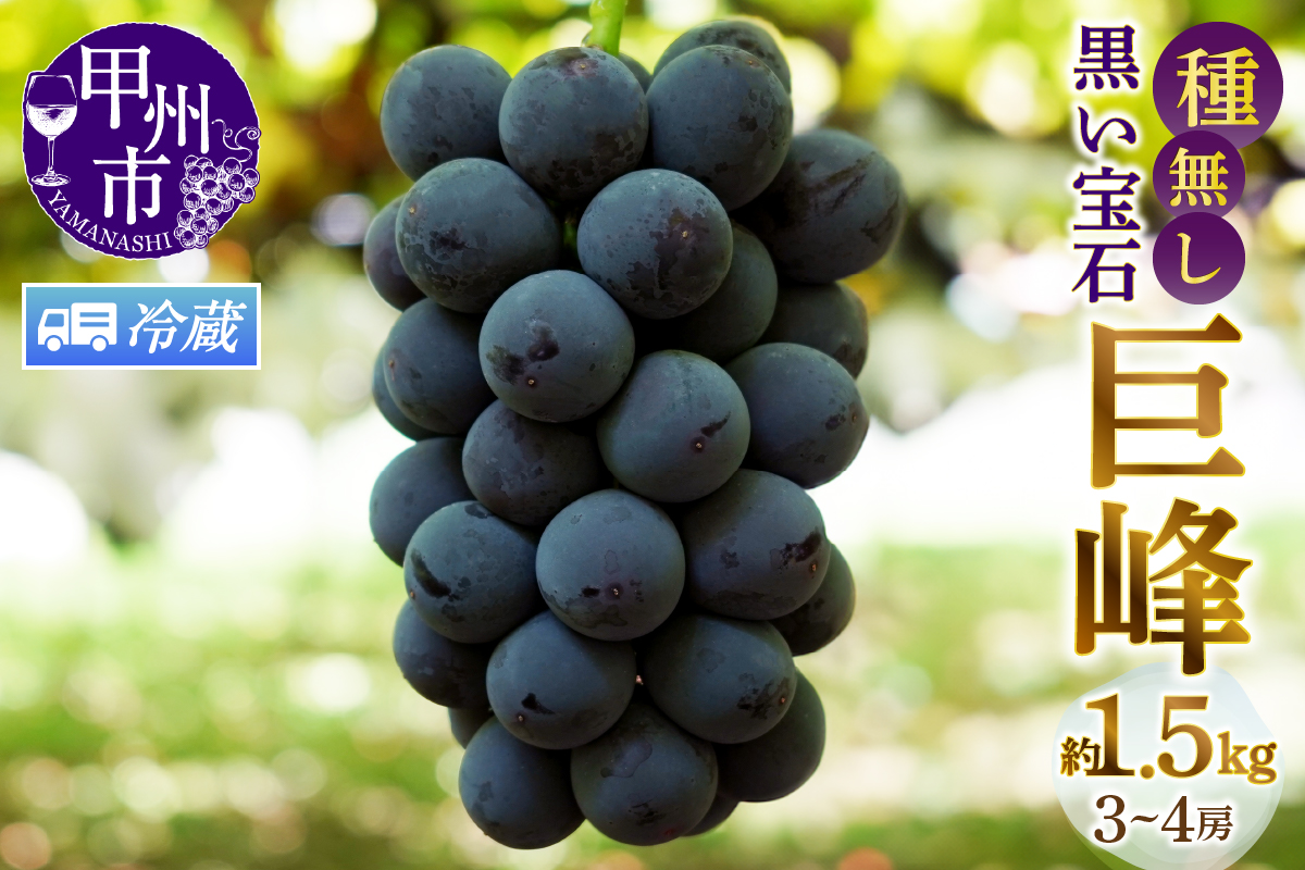 【クール便発送】甲州市産種無し巨峰 約1.5kg（3房～4房）【2026年発送】（MG）B12-471CO