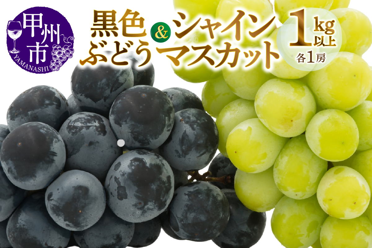 甲州市産旬の葡萄2房入り2色セット 1kg以上【2026年発送】（MG）B-493