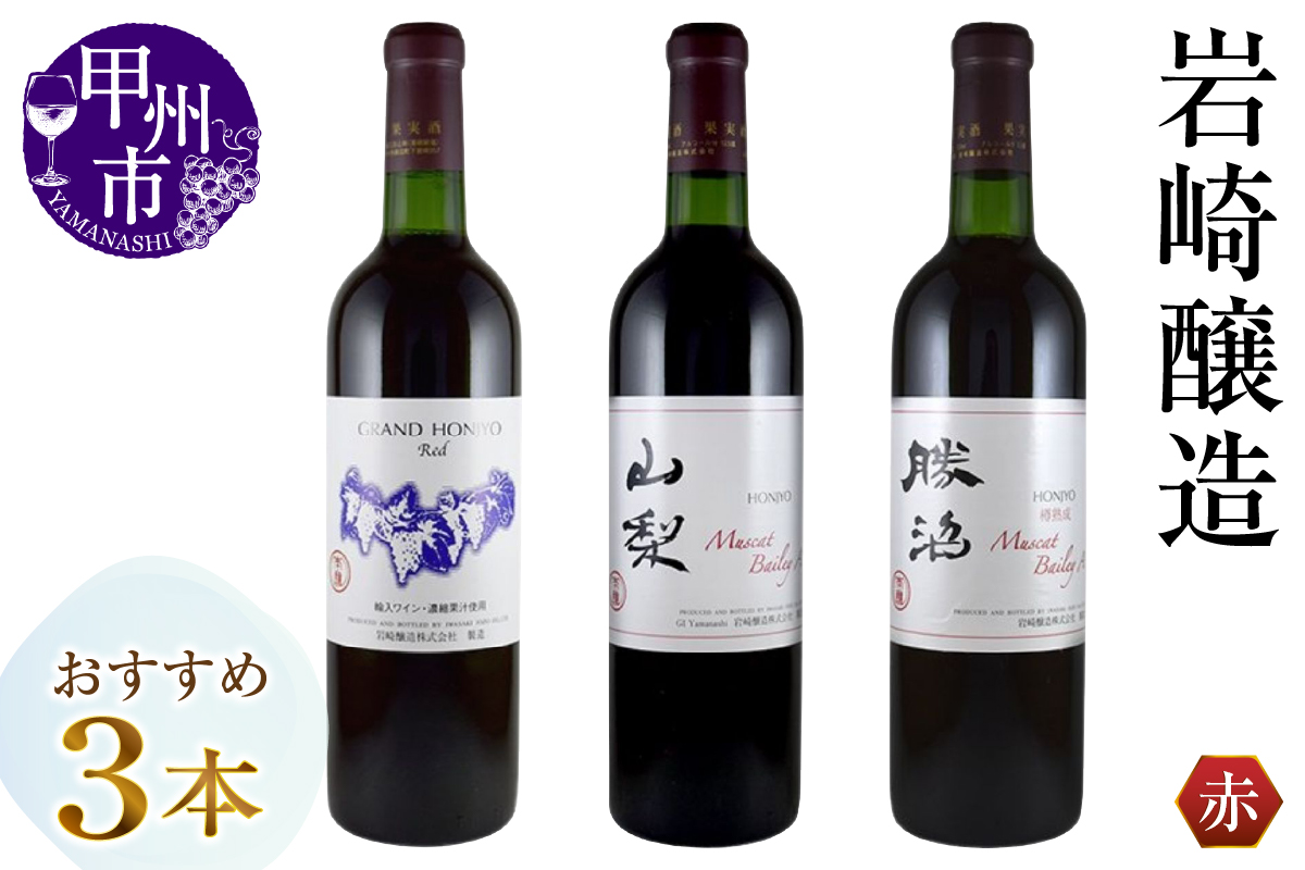 岩崎醸造おすすめ赤ワイン3本セット（MG）B19-487