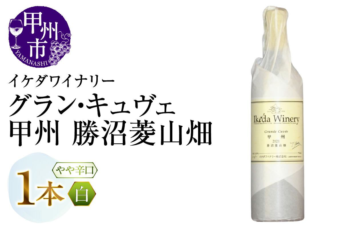 イケダワイナリー グラン・キュヴェ 甲州（MG）B11-480