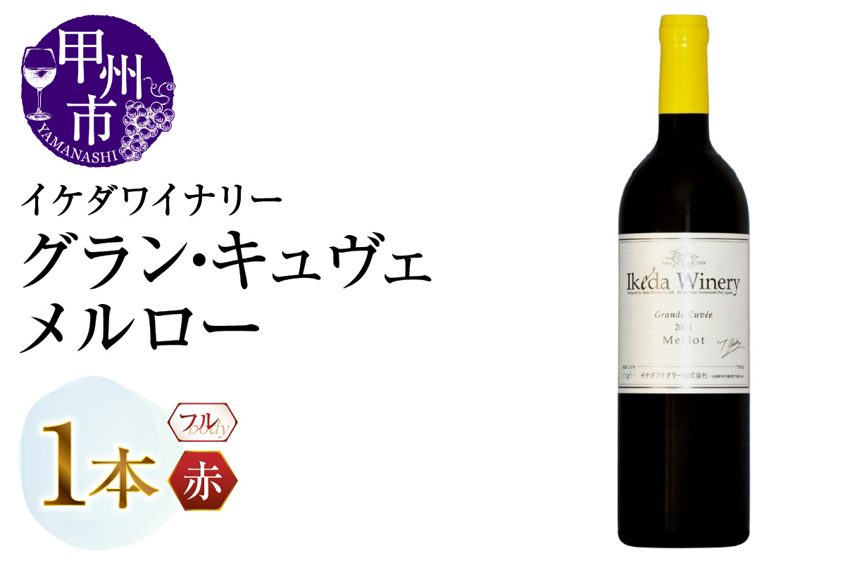 イケダワイナリー グラン・キュヴェ メルロー（MG）B12-806