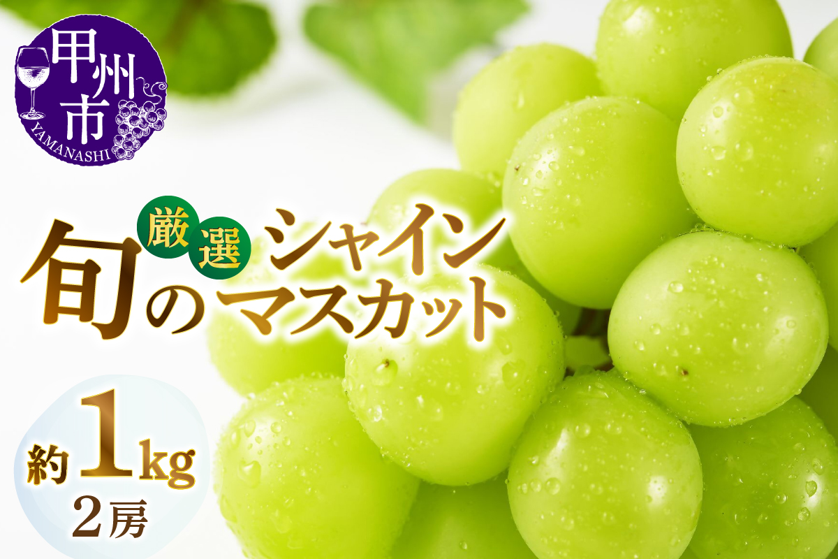 甲州市産厳選旬のシャインマスカット 約1kg 2房入り【2025年発送】（MG）B-007