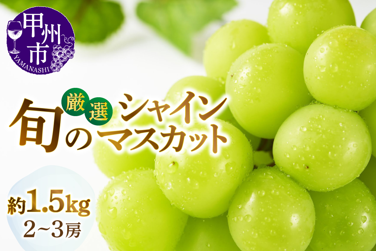 甲州市産厳選旬のシャインマスカット 約1.5kg 2房～3房入り【2025年発送】（MG）B14-002