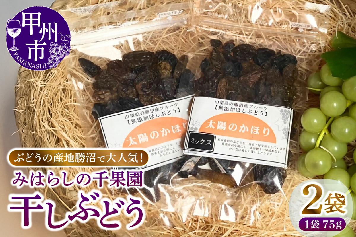 ぶどうの産地勝沼で大人気！みはらしの千果園の干しぶどう2袋（MG）A04-360