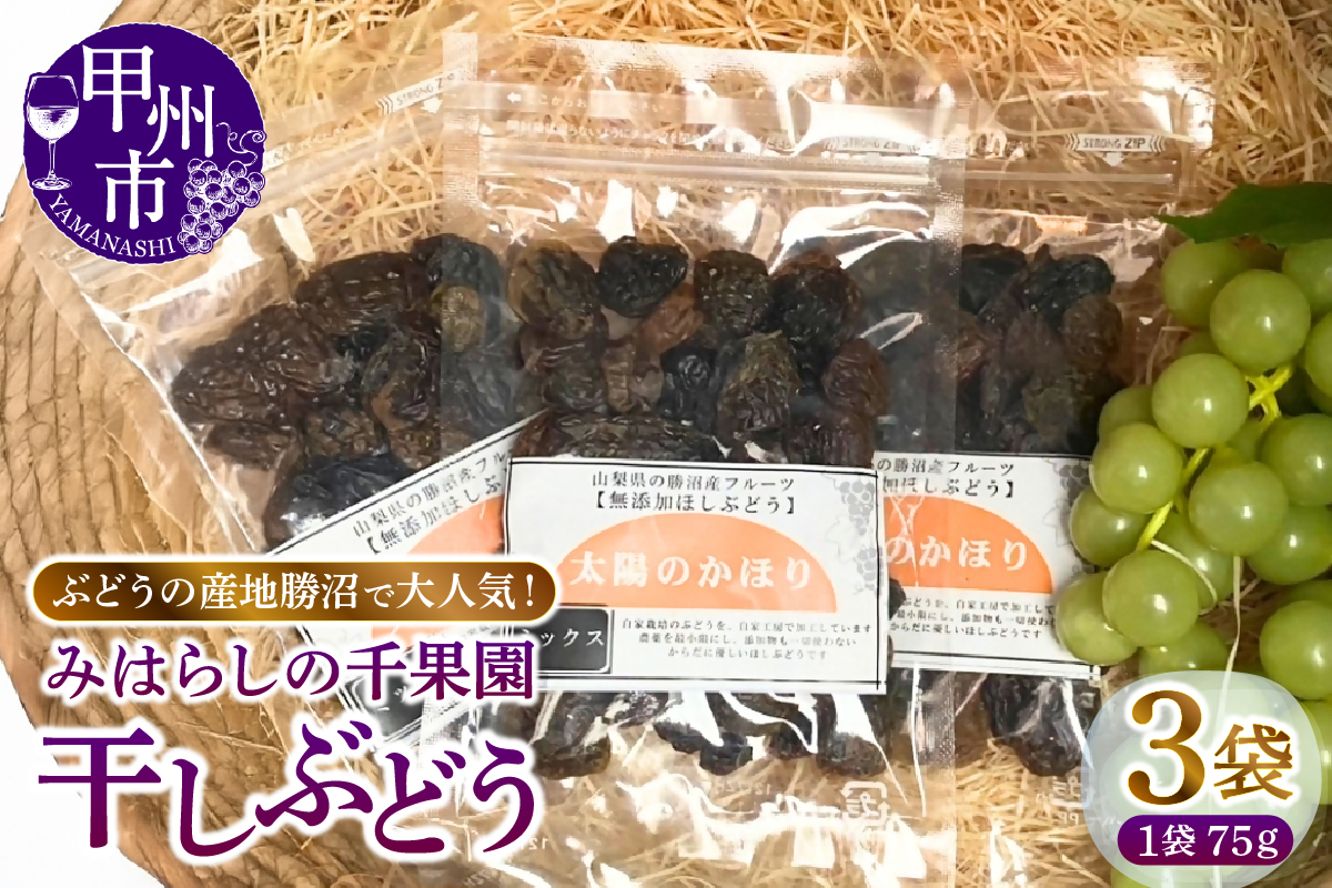 ぶどうの産地勝沼で大人気！みはらしの千果園の干しぶどう3袋（MG）A07-360