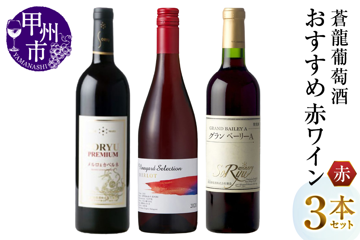 蒼龍葡萄酒おすすめ赤ワイン3本セット（MG）C1-485