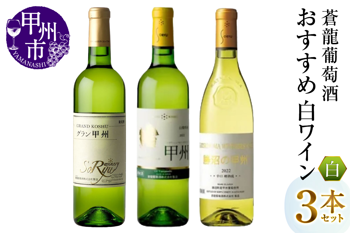蒼龍葡萄酒おすすめ白ワイン3本セット（MG）B19-489