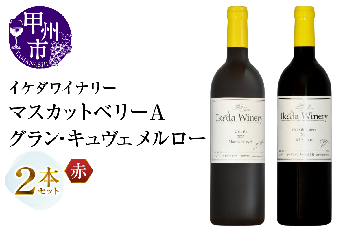 イケダワイナリー 2本セット【マスカットベリーA / グラン・キュヴェ メルロー】（MG）B18-664