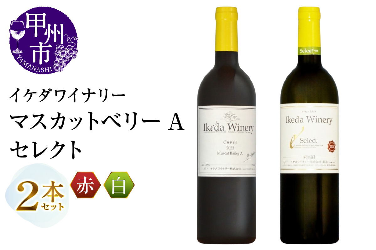 イケダワイナリー 2本セット【マスカットベリーA / セレクト白】（MG）B14-662