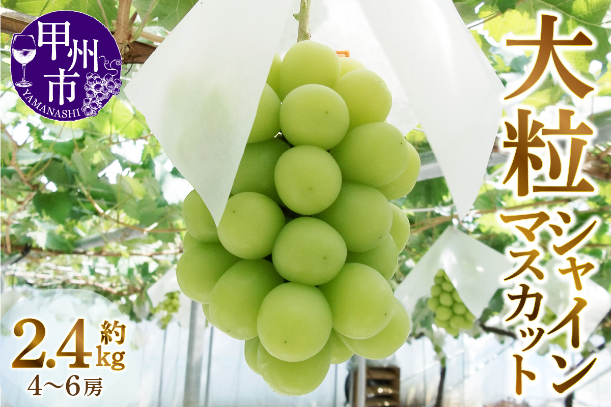 甲州市産厳選大粒シャインマスカット約1.2kg 2～3房×2箱【2026年発送】（MG）C1-480