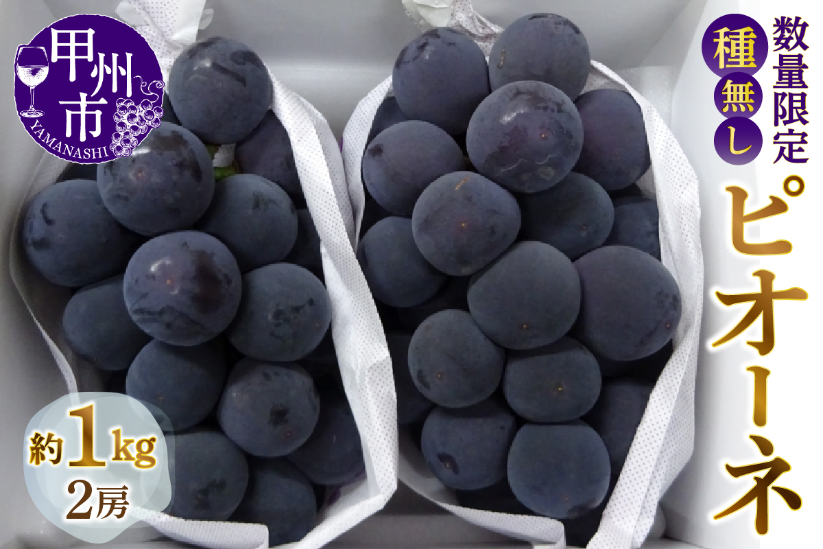 甲州市産 種なしピオーネ 約1kg【2026年発送】（MG）B-882
