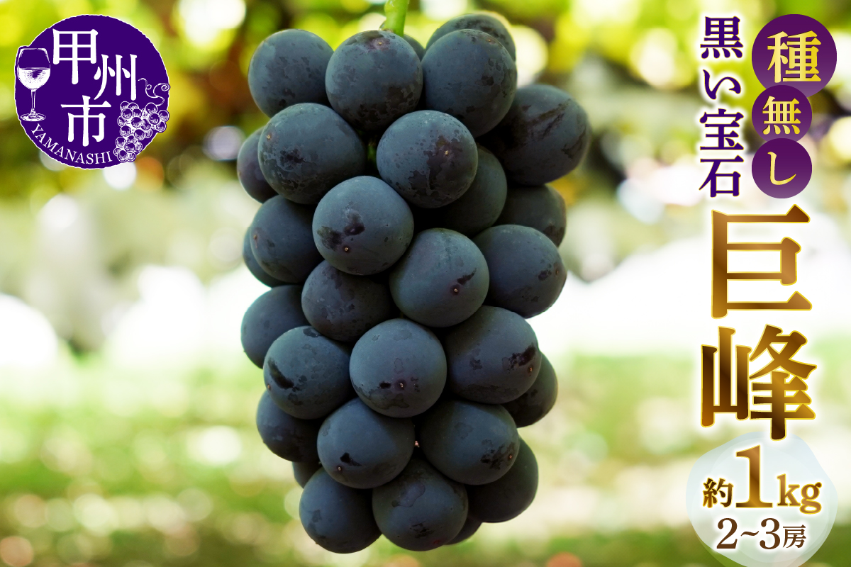 甲州市産種無し巨峰 約1kg（2房～3房）【2026年発送】（MG）B-499