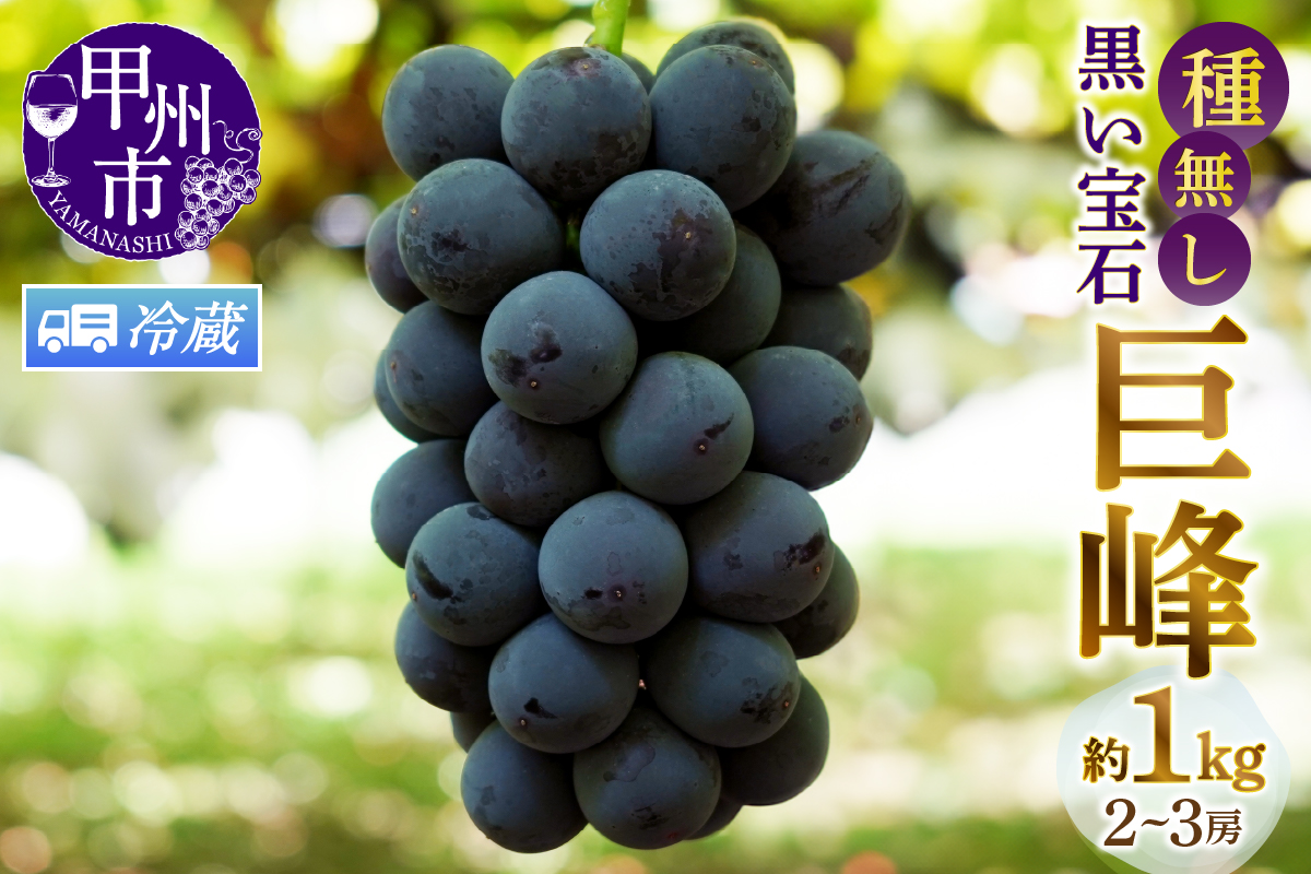 【クール便発送】甲州市産種無し巨峰 約1kg（2房～3房）【2026年発送】（MG）B-499CO