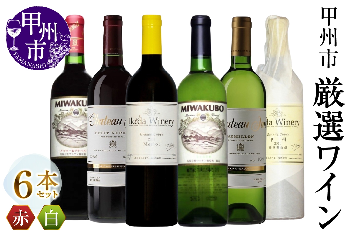 甲州市 厳選ワイン6本セット（MG）H9-480