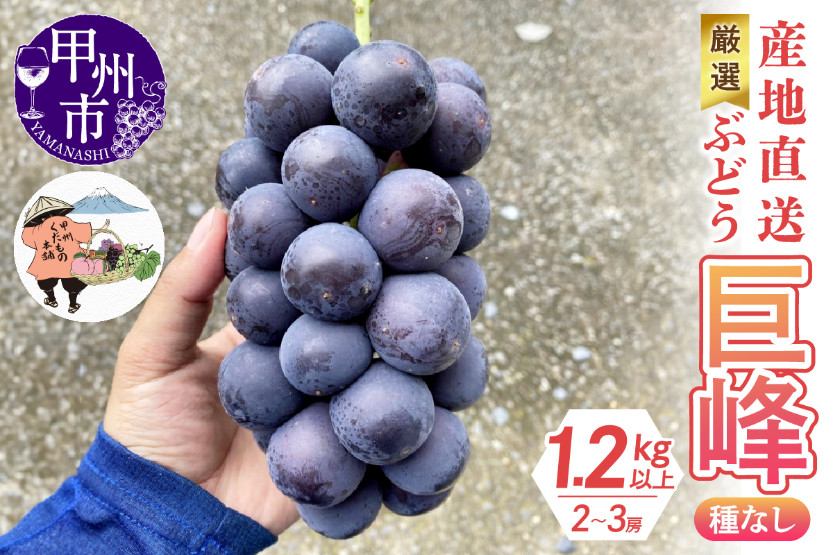 厳選！産地直送ぶどう「巨峰」（種なし）1.2kg以上（2～3房）【2026年発送】（KKH）B-492