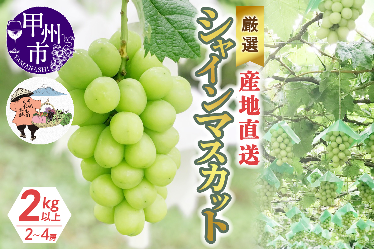 厳選！産地直送ぶどう「シャインマスカット」2kg以上（2～4房）【2026年発送】（KKH）B18-430