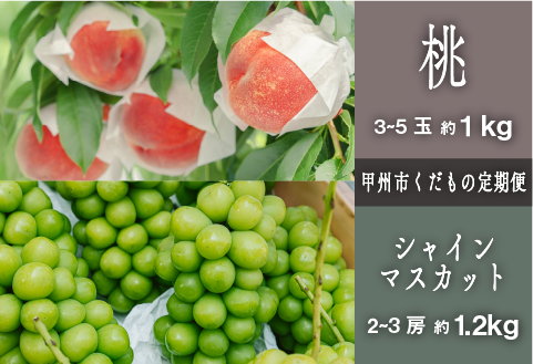 【定期便】甲州市プレミアムセレクション 厳選フルーツ定期便 桃約1kg シャインマスカット約1.2kg【2026年発送】（SHP）C-475