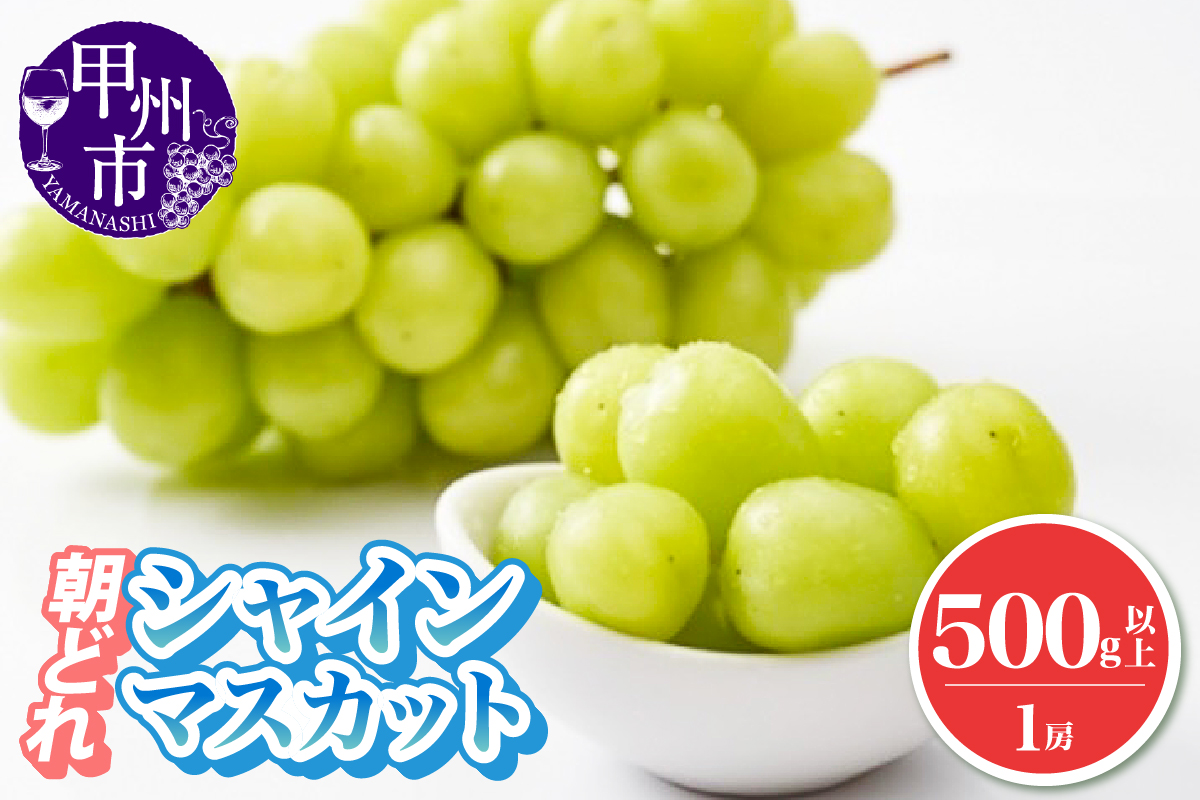 朝どれ シャインマスカット 500g以上 1房 農家直送【2026年発送】（IS）A08-465