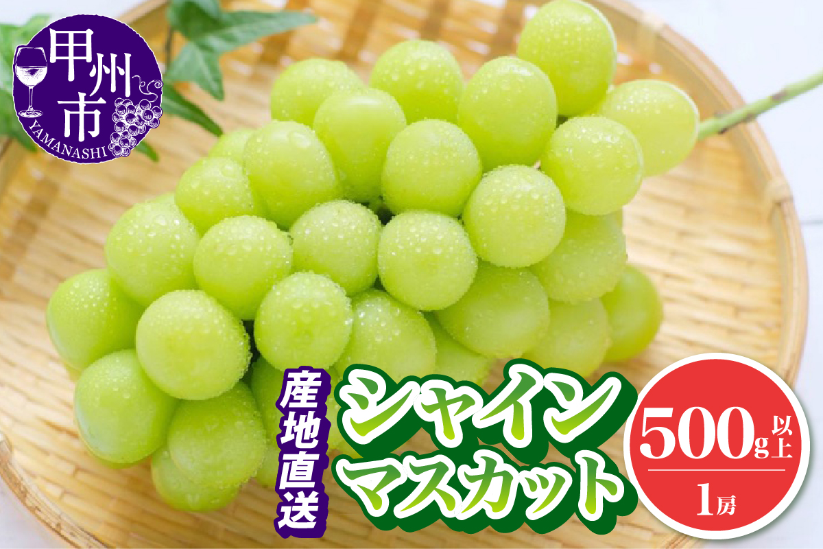 池田青果 厳選 シャインマスカット 500g以上 1房【2025年発送】（IS）A08-466