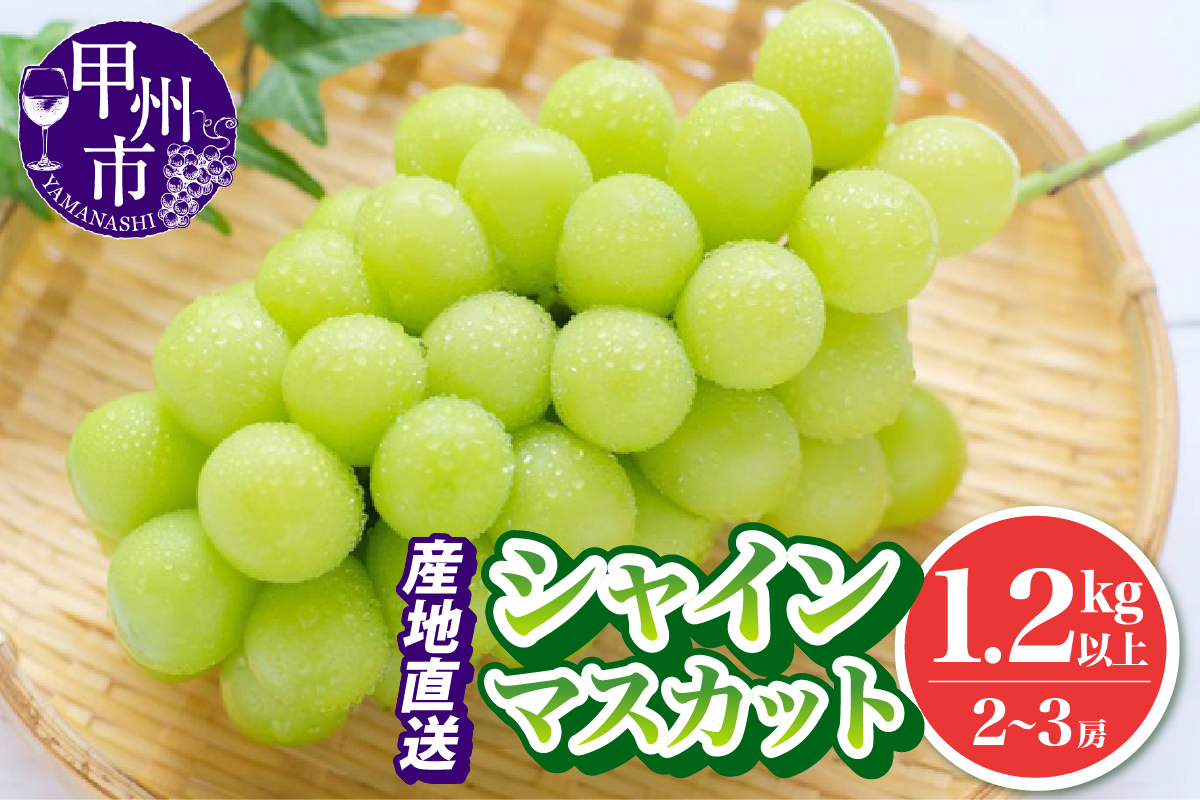 池田青果 厳選 シャインマスカット 1.2kg以上 2房～3房【2026年発送】（IS）B12-466