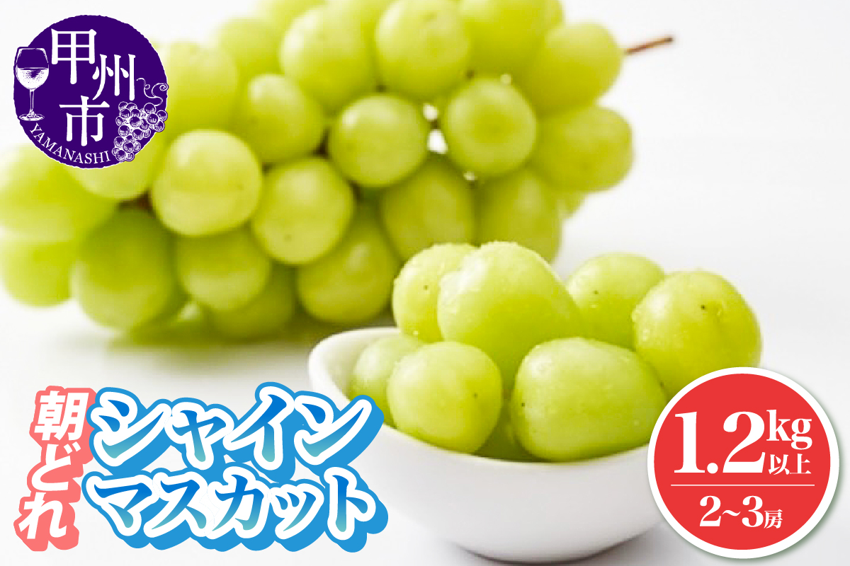 朝どれ シャインマスカット 1.2kg以上 2～3房入り 農家直送【2026年発送】（IS）B-473