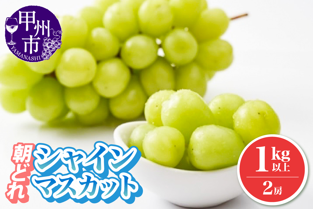 朝どれ シャインマスカット 1.0kg以上 2房 農家直送【2026年発送】（IS）B-476