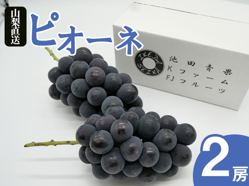 厳選 ピオーネ 1.0kg以上 2房入り【2026年発送】（IS）B-478