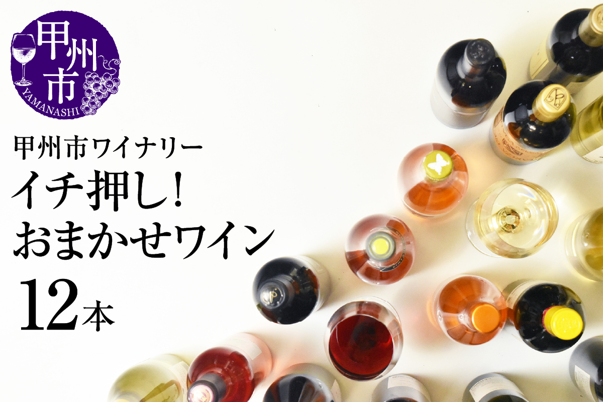 甲州市 イチ押し！ワイン12本セット（KSB）K9-621