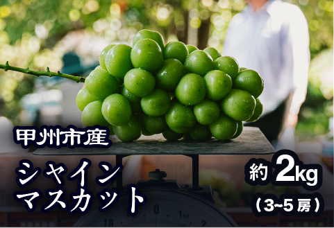 【農家厳選！】甲州市産 シャインマスカット 約2kg【2026年発送】（PJ）B15-144