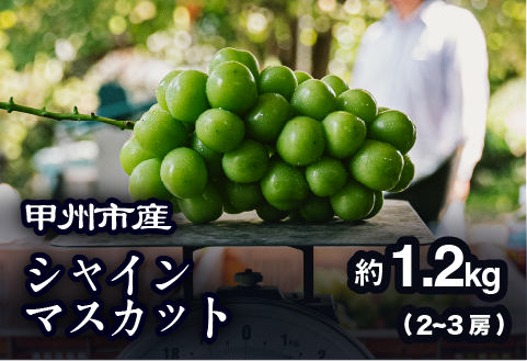 【農家厳選！】甲州市産 シャインマスカット 約1.2kg【2026年発送】（PJ）B-188