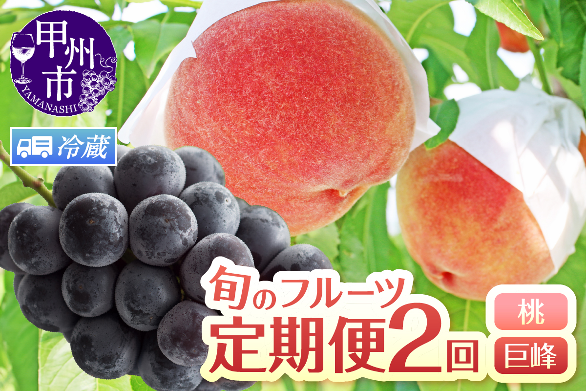【定期便】旬のフルーツ2回定期便（桃・巨峰）【2025年発送】（HK）C1-440