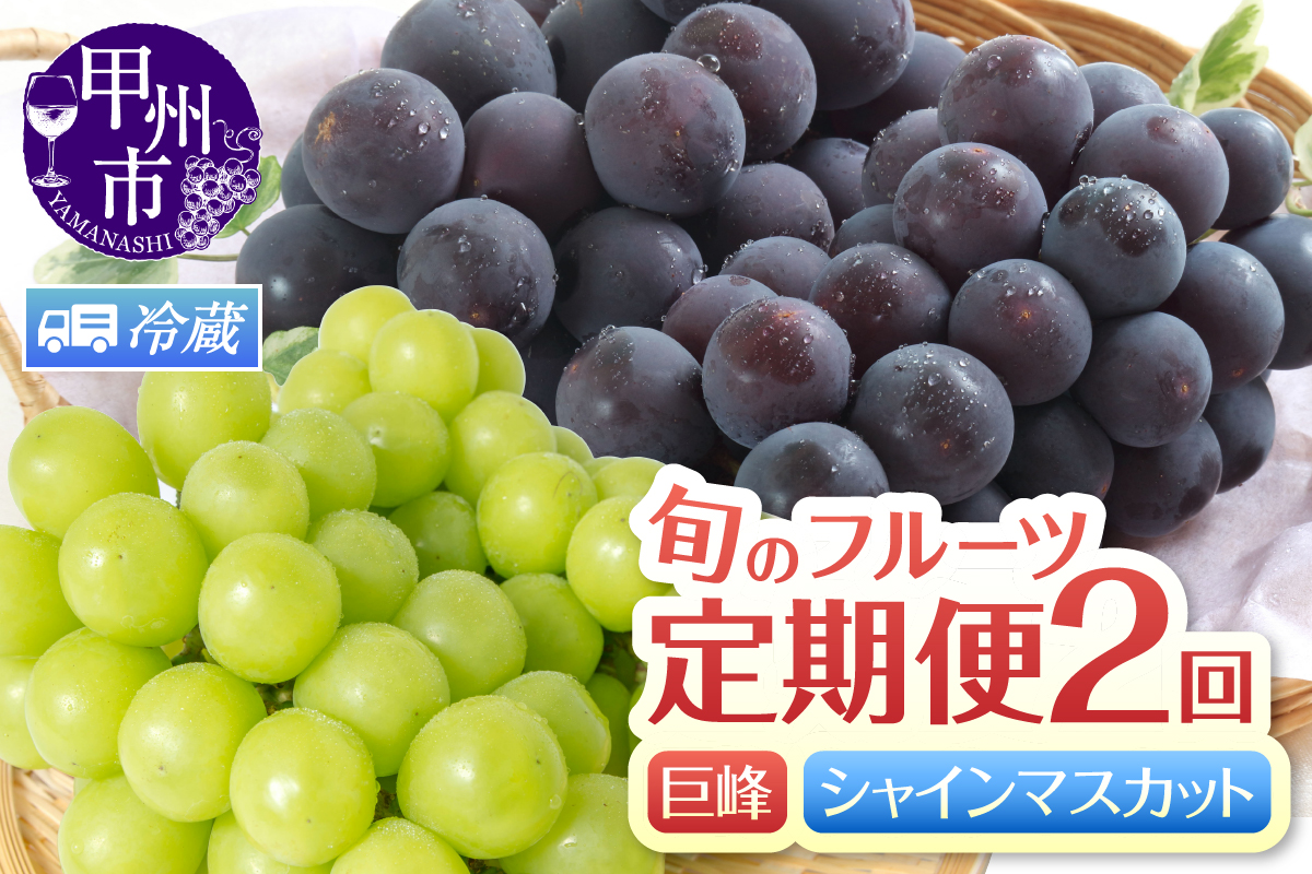 【定期便】旬のフルーツ2回定期便（巨峰・シャインマスカット）【2025年発送】（HK）C1-441