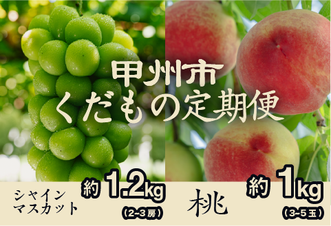 【甲州市くだもの定期便2選】桃約1kg・シャインマスカット約1.2kg【2026年発送】（PJ）B18-170
