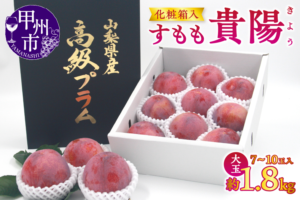 【宿沢フルーツ農園】すもも『貴陽』約1.8kg 化粧箱大玉（7～10玉）【2026年発送】（SF）B15-141