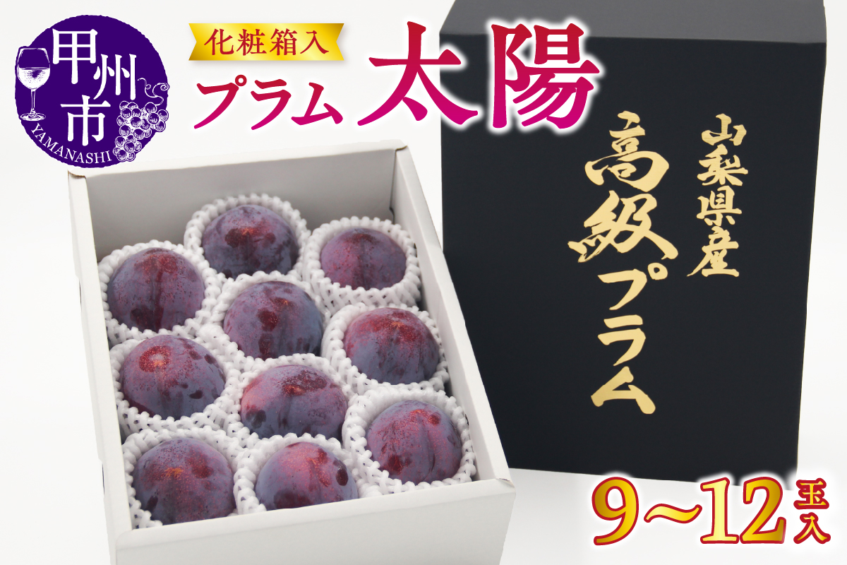 【宿沢フルーツ農園】プラム『太陽』（9～12玉）【2026年発送】（SF）B-194