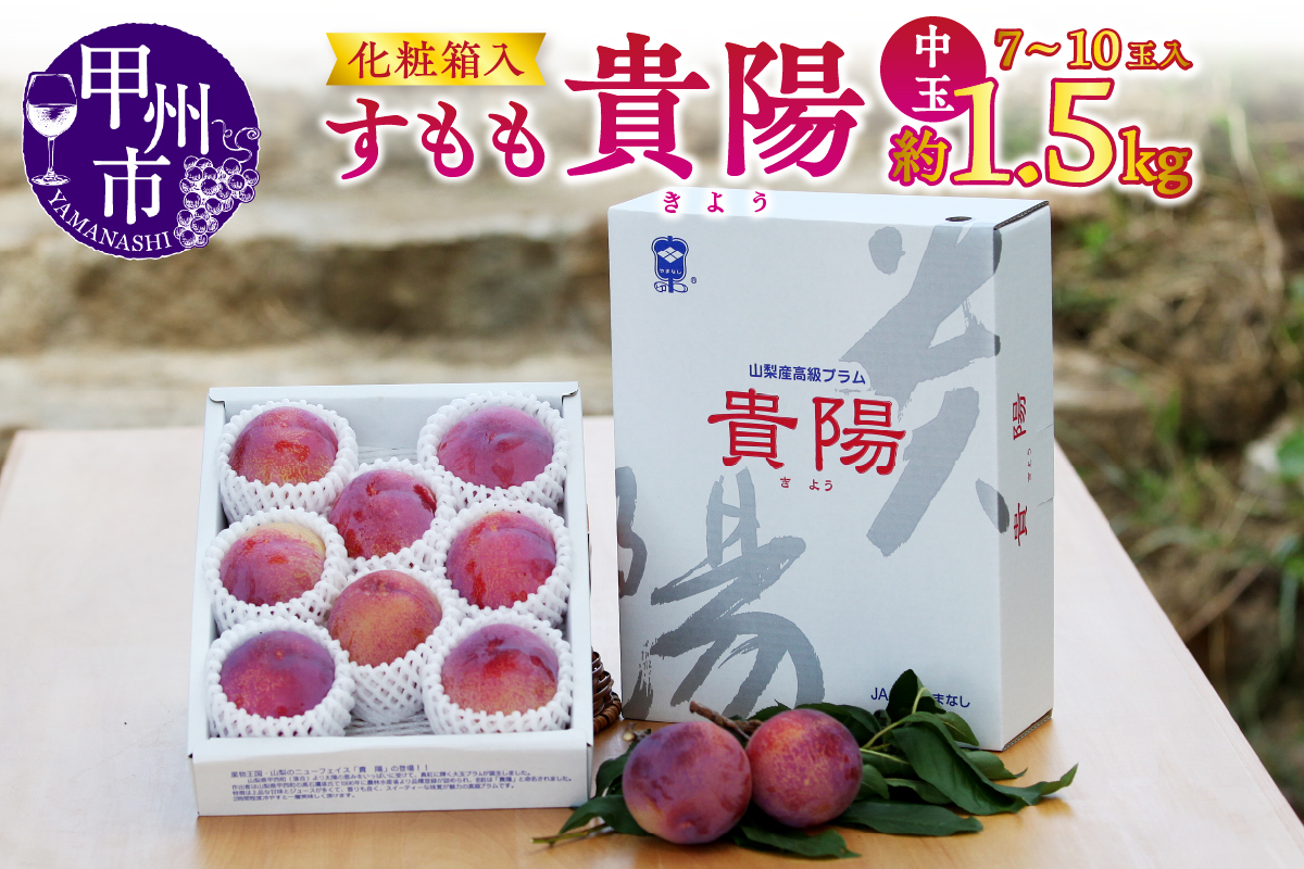 【宿沢フルーツ農園】すもも『貴陽』約1.5kg 化粧箱中玉（7～10玉）【2026年発送】（SF）B12-143