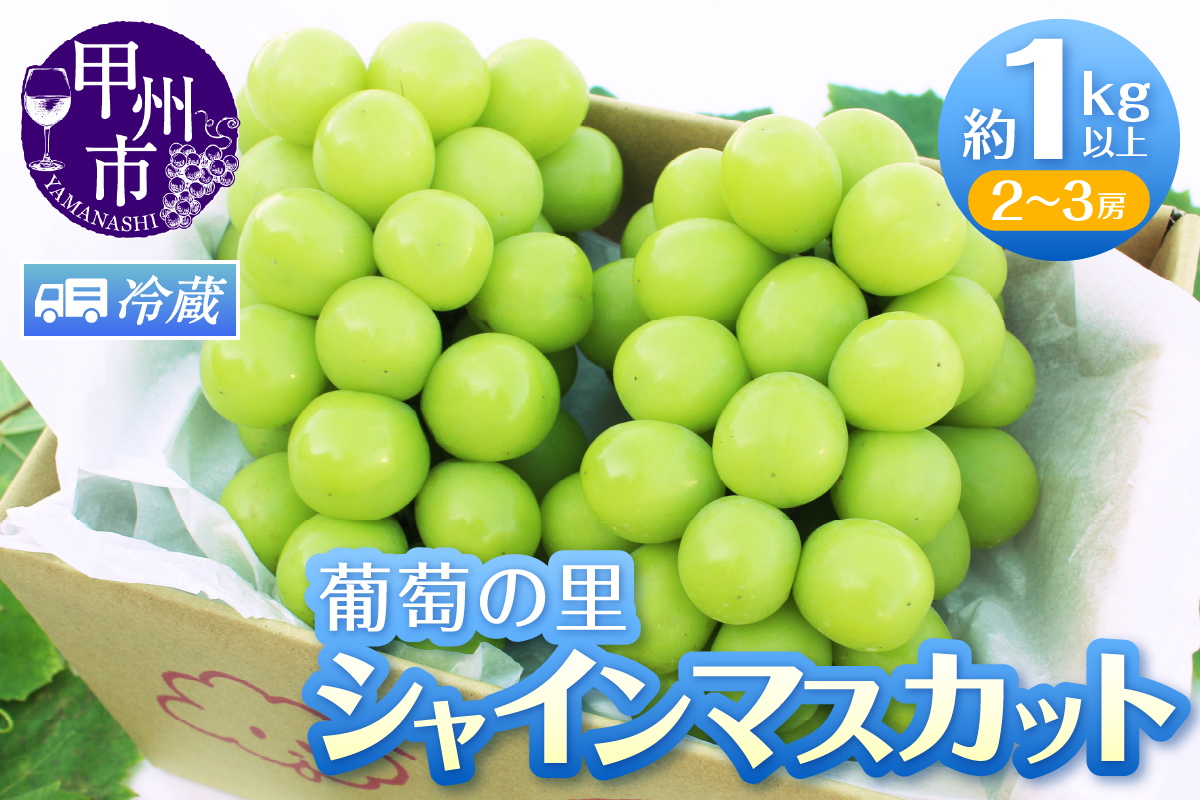 葡萄の里 シャインマスカット 2～3房（1kg以上）【2026年発送】（HK）B12-440
