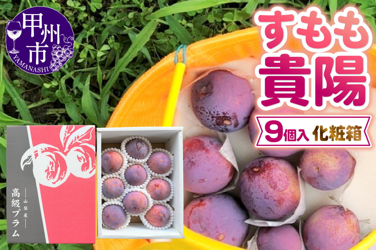 童夢のすもも「貴陽」化粧箱（9玉入り）約1.35kg～約1.7kg【2026年発送】（DOM）B-143