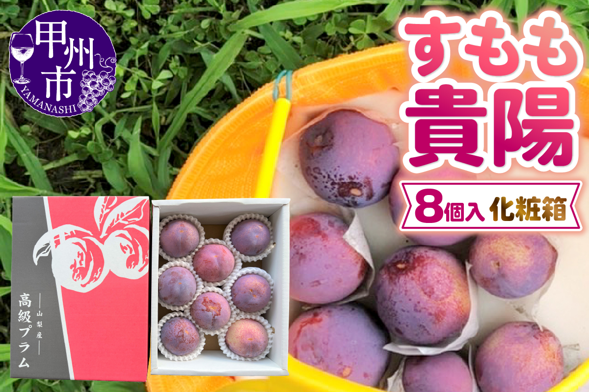 童夢のすもも「貴陽」化粧箱（8玉入り）約1.6kg～約1.9kg【2026年発送】（DOM）B12-142