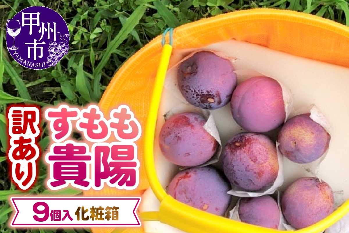 【訳あり】童夢のすもも「貴陽」化粧箱 9玉（約1.35～1.7kg）【2026年発送】（DOM）A07-141