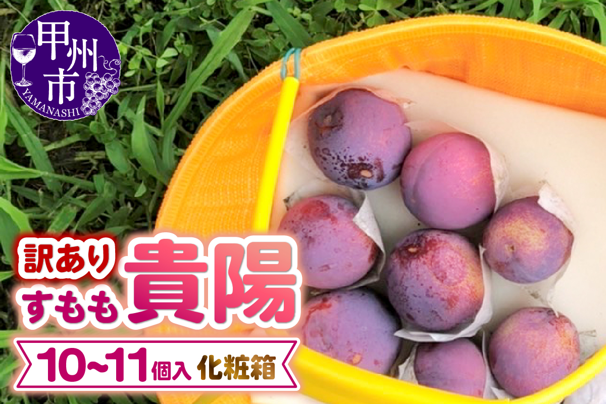 【訳あり】童夢のすもも「貴陽」化粧箱 10～11玉（約1.1～1.4kg）【2026年発送】（DOM）A05-141