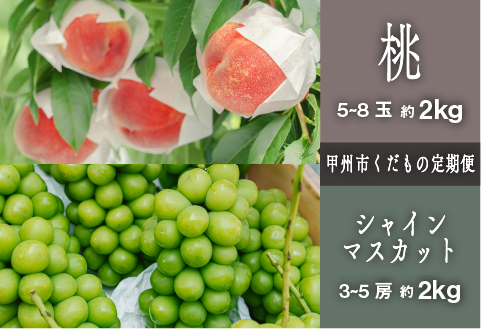 【定期便】甲州市プレミアムセレクション 厳選フルーツ定期便 桃約2kg シャインマスカット約2kg【2026年発送】（SHP）C8-474