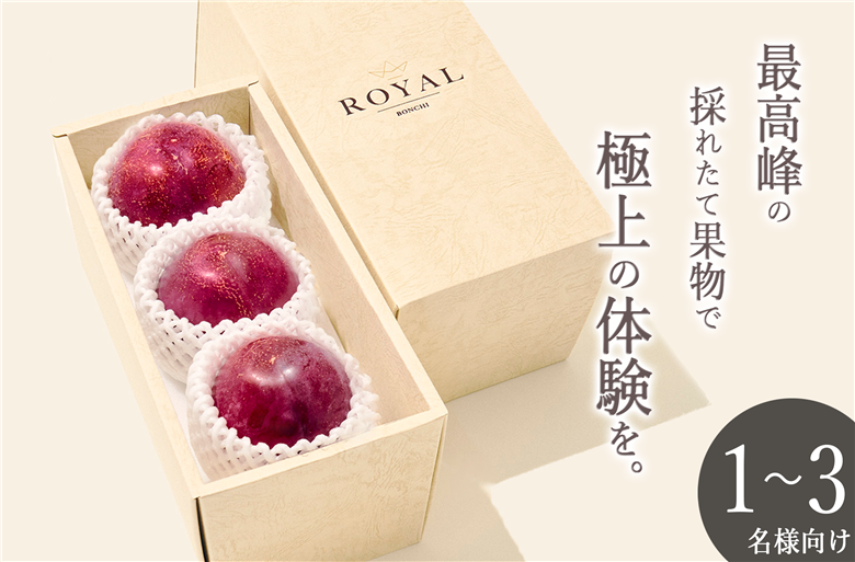 甲州市産 大玉貴陽 3個入り 約800g 自然農法【2025年発送】（BNC）B-488