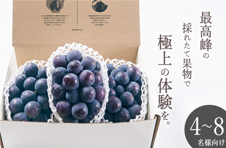 甲州市産 種無し大粒ピオーネ3房入り 約1.6kg 自然農法【2025年発送】（BNC）E-120