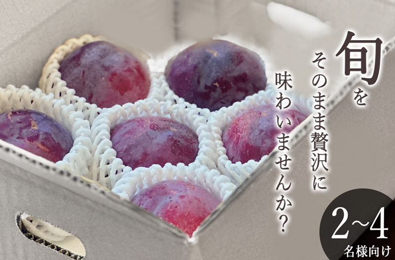 甲州市産 貴陽 約1kg（5～7個入）自然農法【2026年発送】（BNC）B15-492