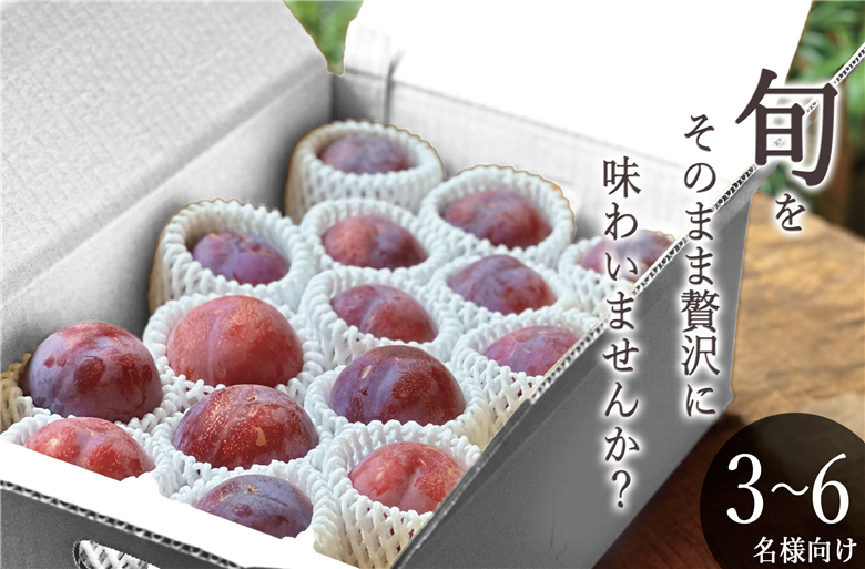 甲州市産 貴陽 約3kg（11～15個入）自然農法【2026年発送】（BNC）C9-492