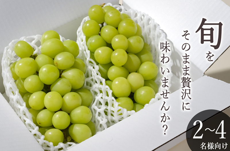 甲州市産 シャインマスカット 2房入（約1.1kg）自然農法【2026年発送】（BNC）B18-426